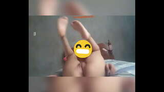 Сафед племянница гулобӣ тавр як anus